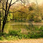 Kopiowanie i rozpowszechnianie zdjęć bez zgody autora zabronione. Park Zamkowy w Pszczynie idealny na jesienne spacery. Feeria barw zachęca do odwiedzin - galeria
