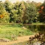 Kopiowanie i rozpowszechnianie zdjęć bez zgody autora zabronione. Park Zamkowy w Pszczynie idealny na jesienne spacery. Feeria barw zachęca do odwiedzin - galeria