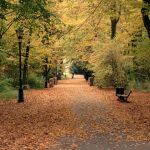 Kopiowanie i rozpowszechnianie zdjęć bez zgody autora zabronione. Park Zamkowy w Pszczynie idealny na jesienne spacery. Feeria barw zachęca do odwiedzin - galeria