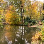 Kopiowanie i rozpowszechnianie zdjęć bez zgody autora zabronione. Park Zamkowy w Pszczynie idealny na jesienne spacery. Feeria barw zachęca do odwiedzin - galeria