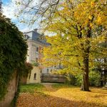 Kopiowanie i rozpowszechnianie zdjęć bez zgody autora zabronione. Park Zamkowy w Pszczynie idealny na jesienne spacery. Feeria barw zachęca do odwiedzin - galeria