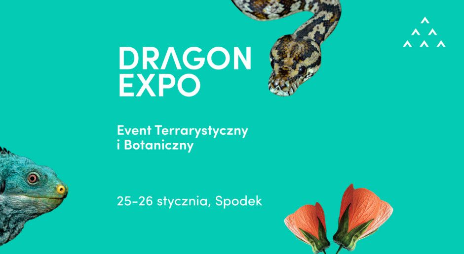 Kopiowanie i rozpowszechnianie zdjęć bez zgody autora zabronione. Dragon Expo | Event Terrarystyczny i Botaniczny - galeria