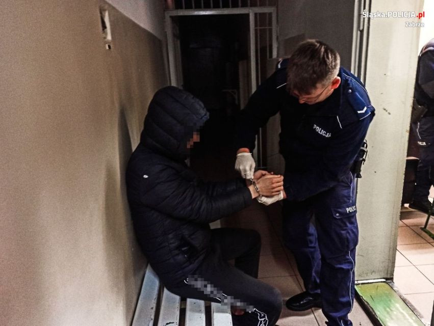 Kopiowanie i rozpowszechnianie zdjęć bez zgody autora zabronione. Oszukał 80-letnią mieszkankę Zabrza na blisko 340 tys. zł! 18-latek został aresztowany - galeria